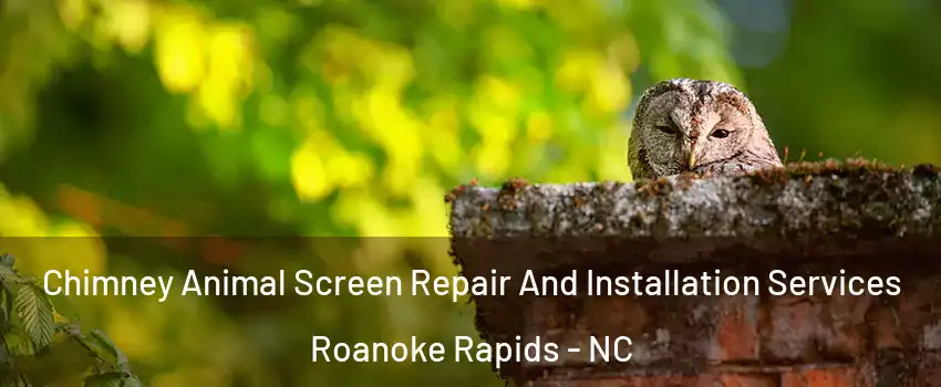  Chimney Animal Screen Repair And Installation Services Roanoke Rapids - NC
