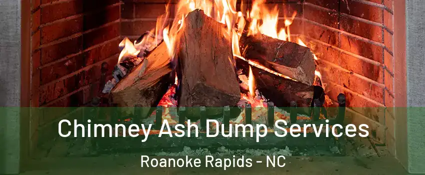  Chimney Ash Dump Services Roanoke Rapids - NC