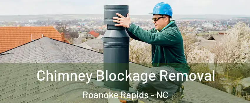  Chimney Blockage Removal Roanoke Rapids - NC