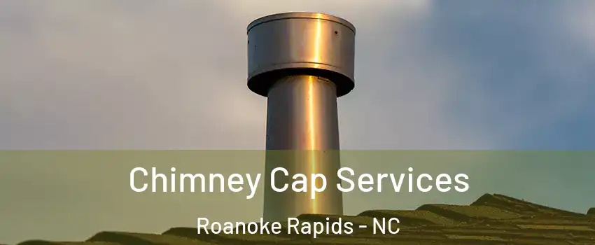  Chimney Cap Services Roanoke Rapids - NC