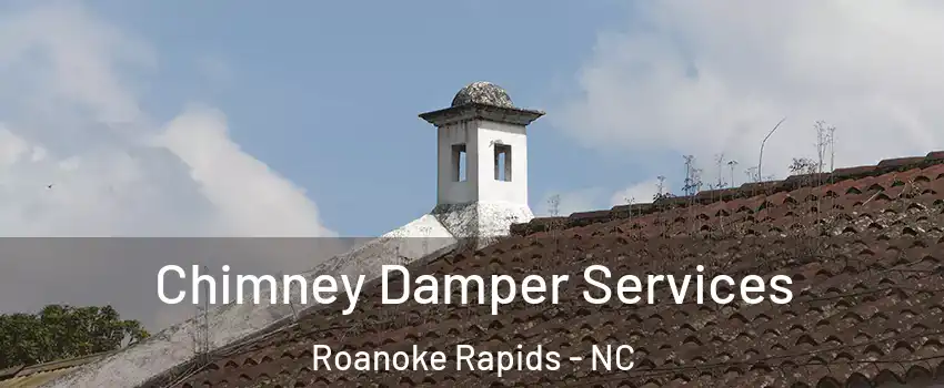  Chimney Damper Services Roanoke Rapids - NC