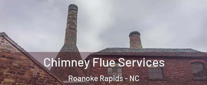  Chimney Flue Services Roanoke Rapids - NC