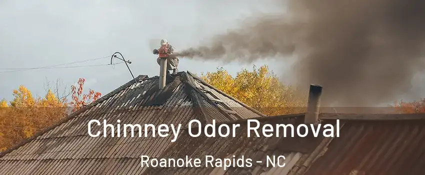 Chimney Odor Removal Roanoke Rapids - NC