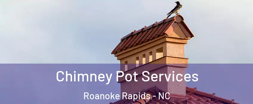  Chimney Pot Services Roanoke Rapids - NC