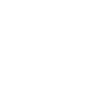 Professional Chimney Flue Installation in Roanoke Rapids, North Carolina
