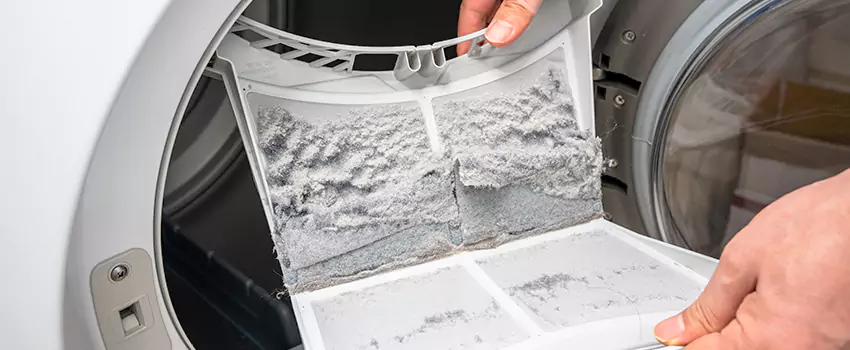 Best Dryer Lint Removal Company in Roanoke Rapids, North Carolina