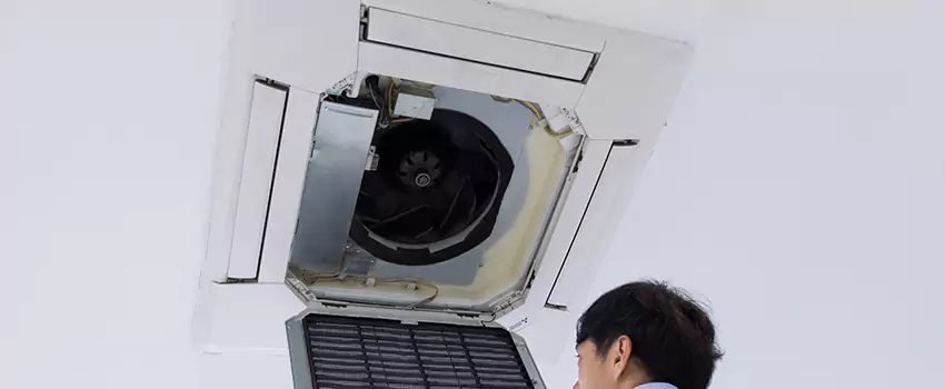 Benefits of Professional Air Duct Cleaning in Roanoke Rapids, North Carolina