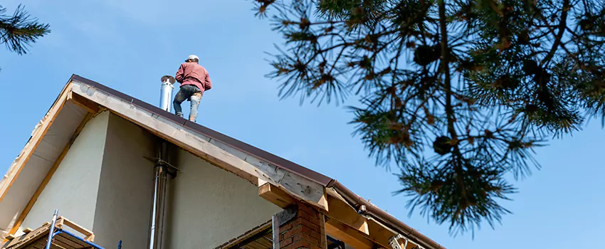 Birds Removal Contractors from Chimney in Roanoke Rapids, NC