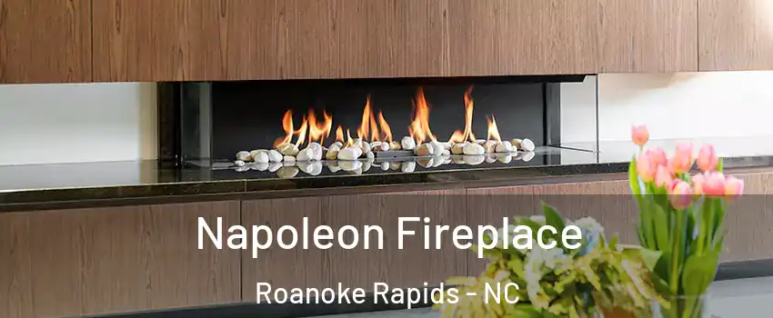  Napoleon Fireplace Roanoke Rapids - NC